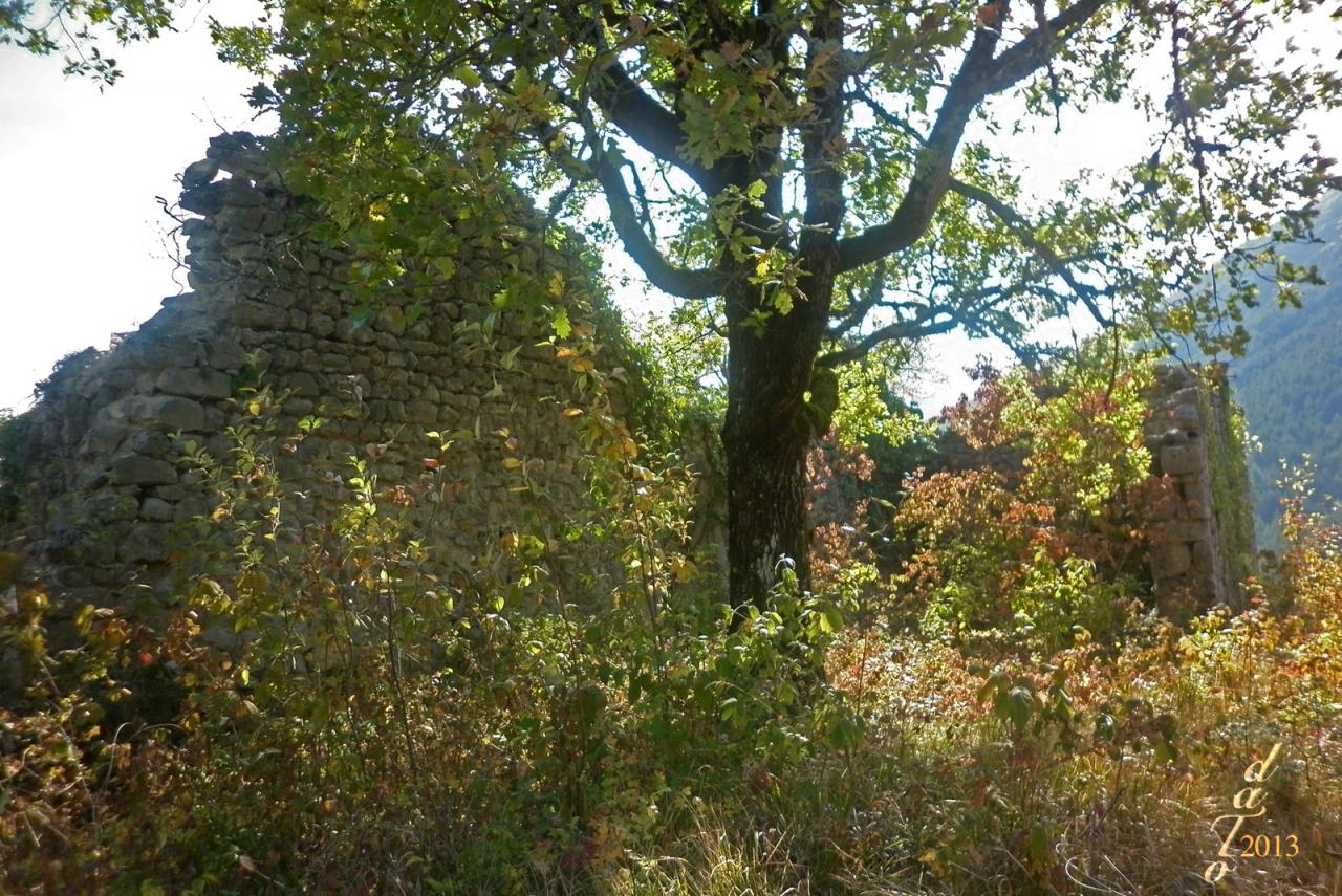 1403 Ruine de Daraire - Saint Benoit en Diois