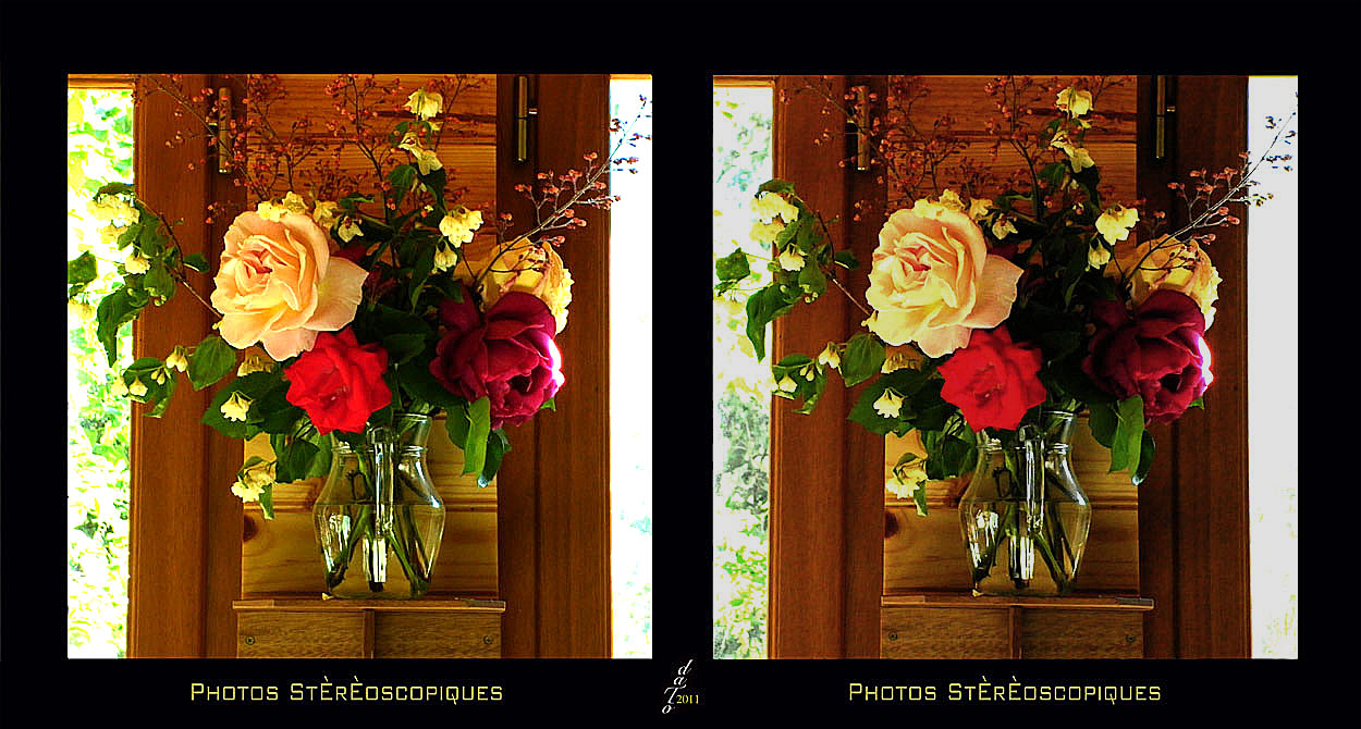 Bouquet de Roses-047x