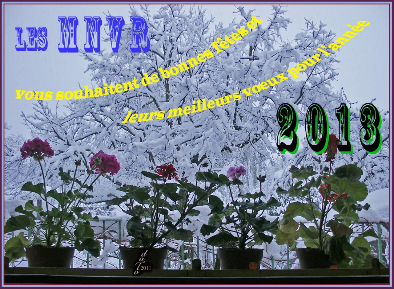 Vœux MNVR 2013