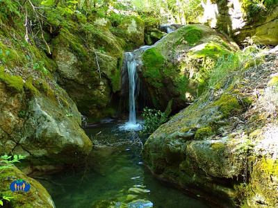 Magnifique cascade entre les roches vertes de mousses.