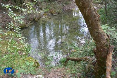 Ruisseau de La Rochette - Reflets