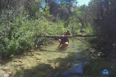 Ruisseau d'Aucelon 2022 ›020 - Un petit effort pour passer sous cet arbre.