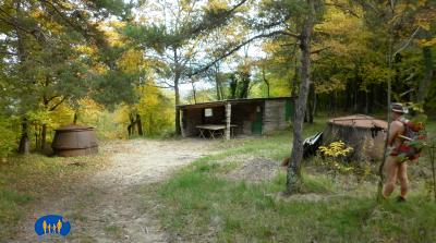 Vestiges de fours a charbon de bois.