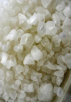 Gros grains de kefir 1