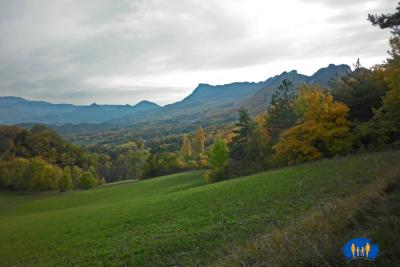 Dernier champ verdoyant avant d'entrer dans la forêt.