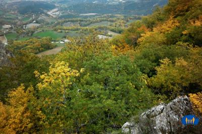 Vert changeant des forêts de chênes et champs bordés de haies.