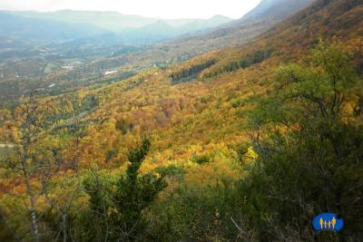 En contre-bas, tout le versant vire au jaune.