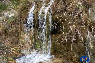 Eau et grandes herbes.