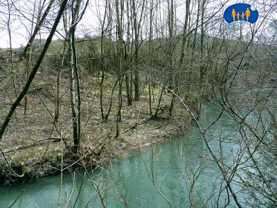 Parterre de primevères et eaux vertes.