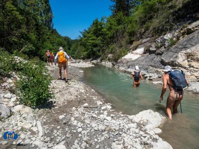 Gorges de la Roanne 480