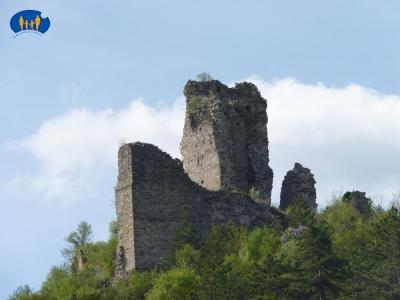 Les ruines du château (vue d'ensemble).