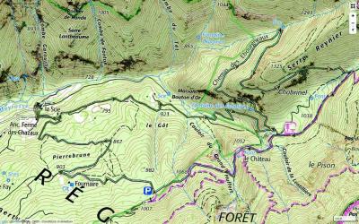 SA - Carte Romeyer chemin des e bourgneaux 1