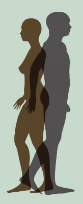 Silhouette