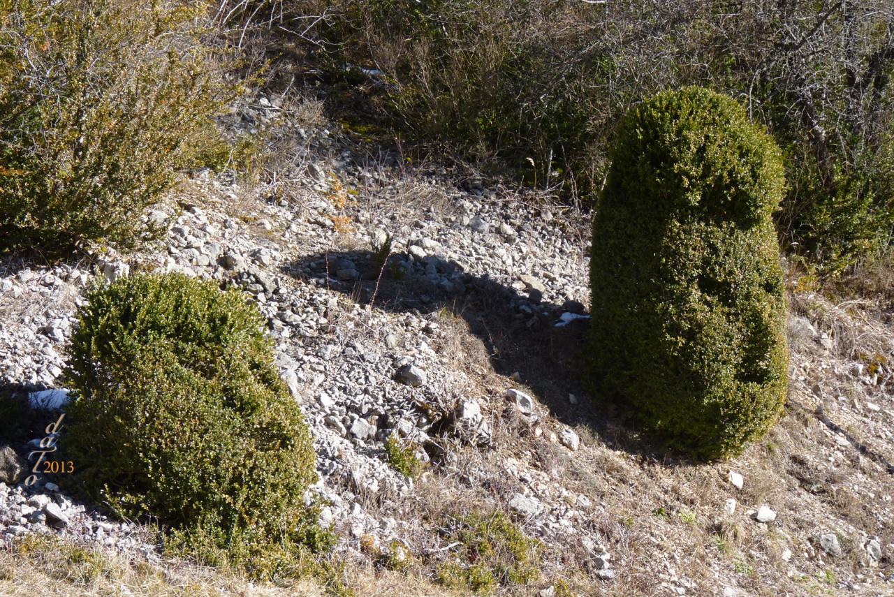 1309 Col de Menée (Les Nonières)