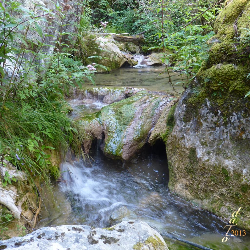 1335 Torrent du Goutat