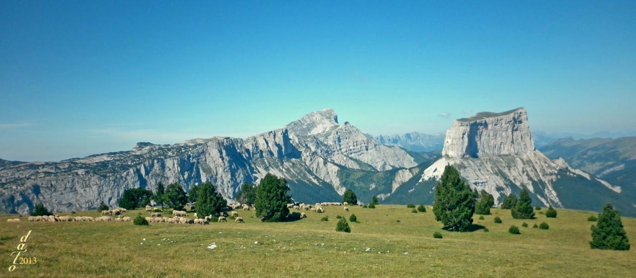 1343 Tête Chevalière