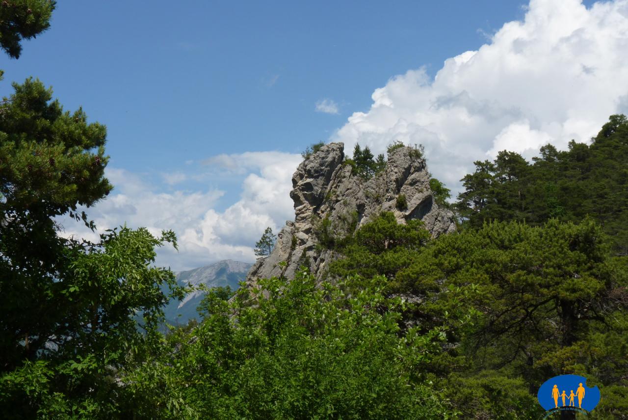 1410 Etrange sculpture sur ce rocher