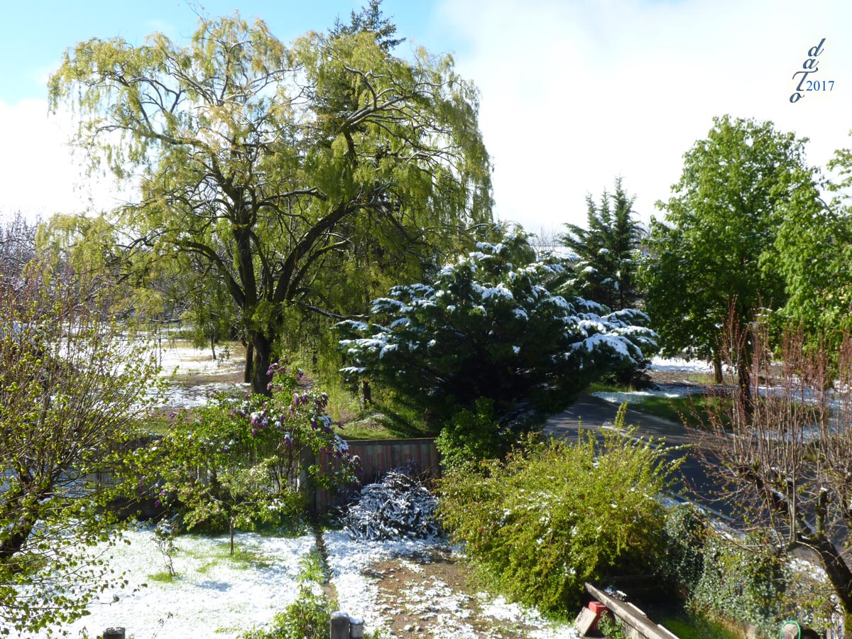 1722 Neige du 1er Mai
