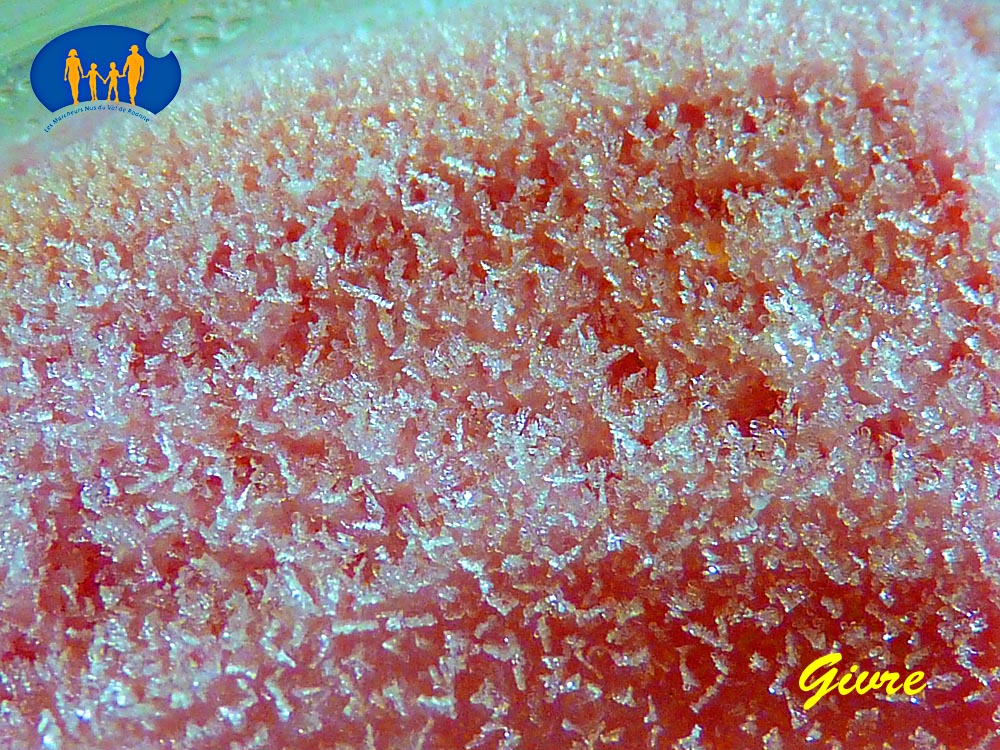 1752 Givre