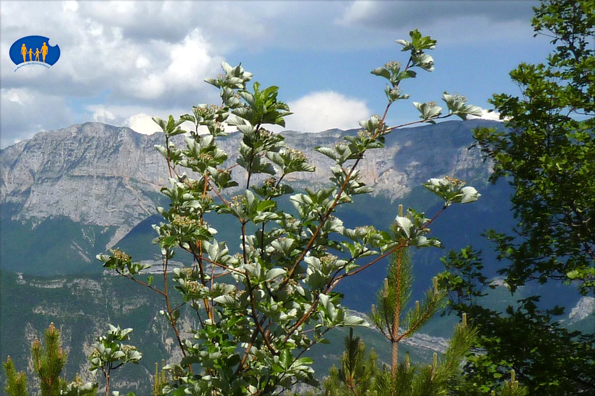 1845 Paysage Diois