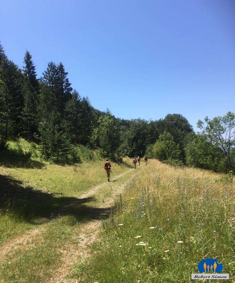 Chemin des Ébourgneaux - 4774a