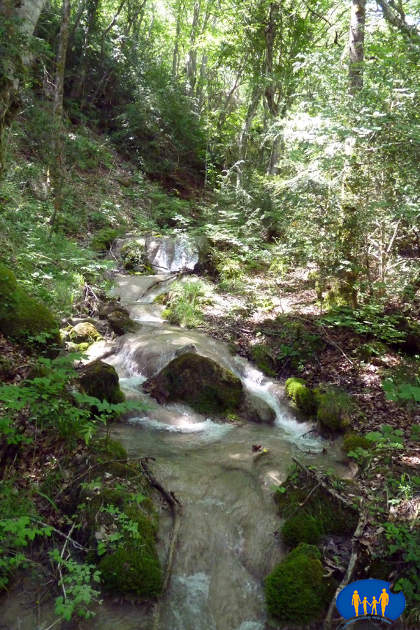 P1030270b