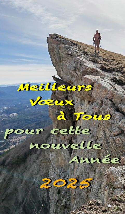 Vœux 2025