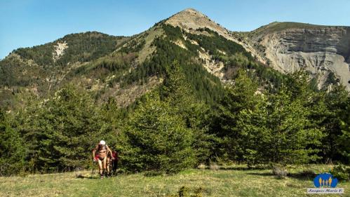 02 Passage dans les pâturages.