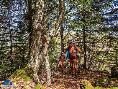 03 Un arbre imposant !