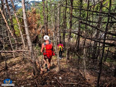 06 Descente dans un sous-bois d'arbres enchevêtrés.
