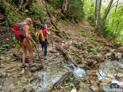 08 Ruisseau de montagne.