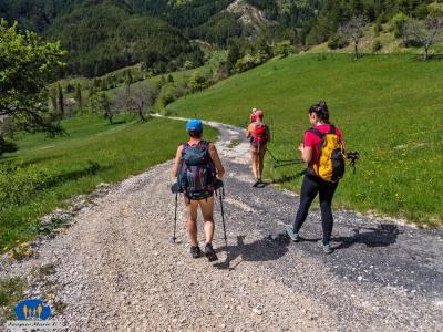 09 Chemin vers le retour aux voitures.