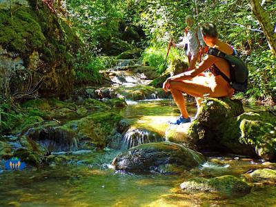 Verdure, mimi cascades et eau limpide.