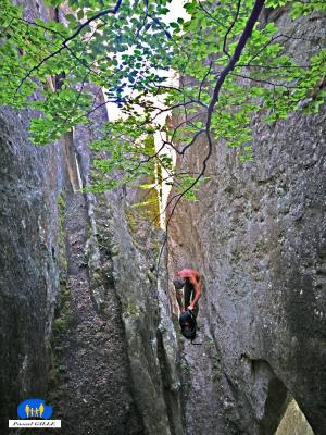 Impressionnants bloc de grès sculptes par l'érosion.