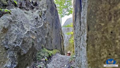 CouCou, j'arrive …