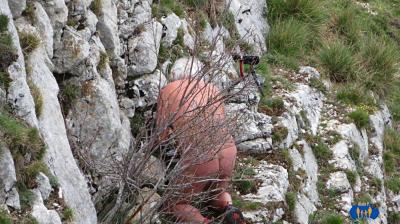 Geocache.