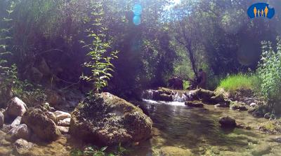 Quelle beauté ce ruisseau !