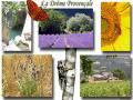 Banniere vallee roanne 3