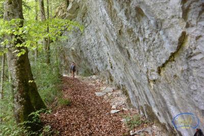 5J-Dsc 0124c (Sentier sous la falaise).