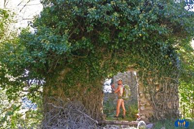 Hameau du Serre - Le lierre a totalement recouvert ce mur.