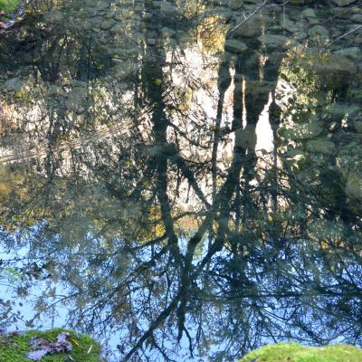 Le ciel se reflète dans l'eau.