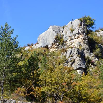 Quelques rochers dominent ce fond de vallon.