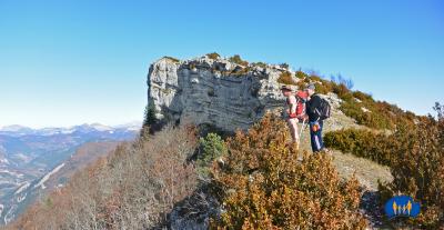 Tarsimoure  -