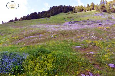 Ensemble de couleurs.