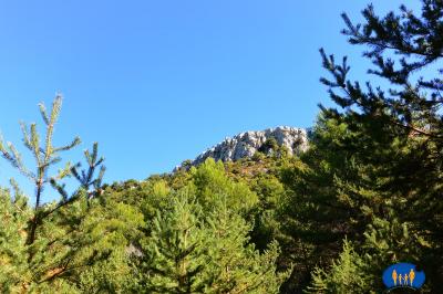 Buis-les-Baronnies - Paysage.