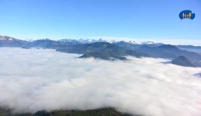 Ce frimas ondule sous la brise légère.