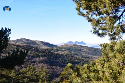 Coteaux ensoleillés de la montagne d'Aucelon.