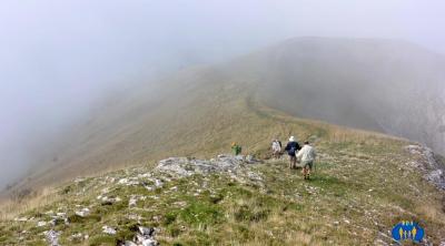 L'horizon disparait dans la blancheur de la brume.