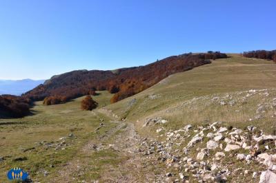 À l'approche du Col de Chironne.