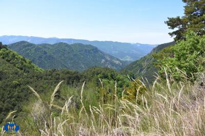 Paysage.